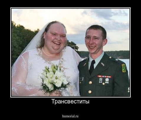 Трансвеститы