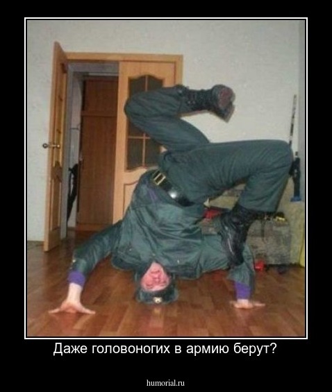 Даже головоногих в армию берут?