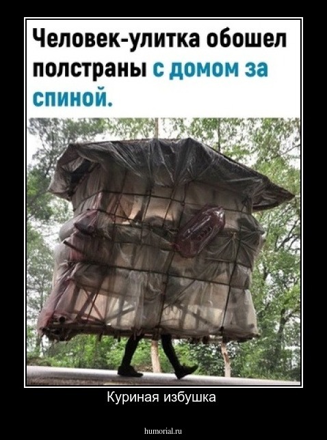 Куриная избушка 