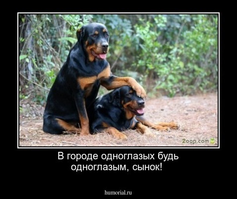 В городе одноглазых будь одноглазым, сынок!