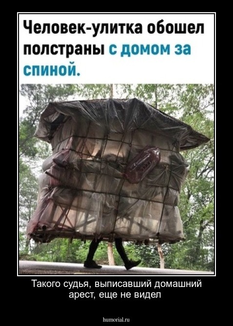Такого судья, выписавший домашний арест, еще не видел