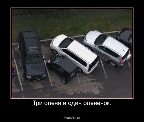 Три оленя и один оленёнок.