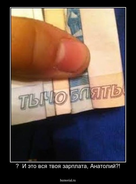 ?  И это вся твоя зарплата, Анатолий?!