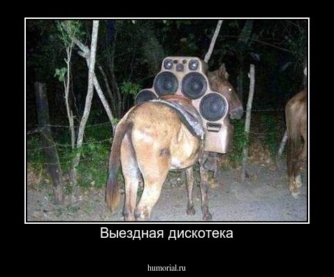 Выездная дискотека