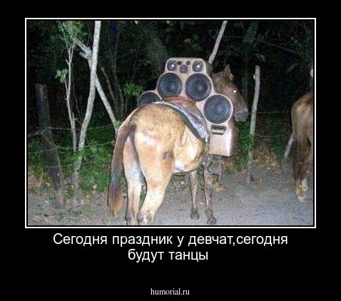 Сегодня праздник у девчат,сегодня будут танцы