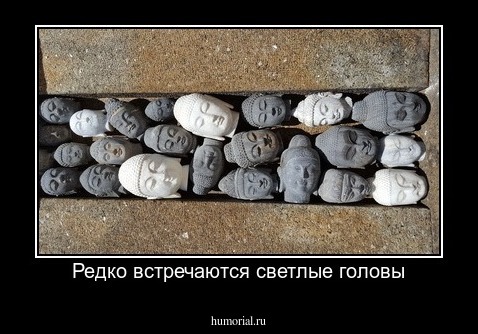 Редко встречаются светлые головы