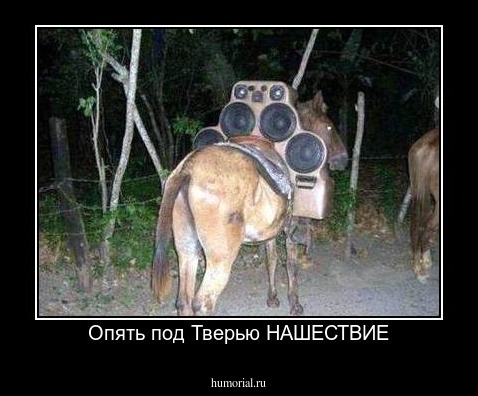 Опять под Тверью НАШЕСТВИЕ