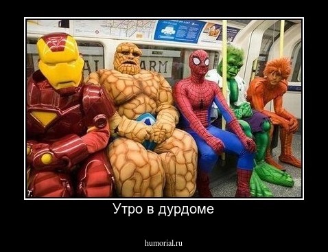 Утро в дурдоме