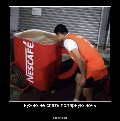 нужно не спать полярную ночь