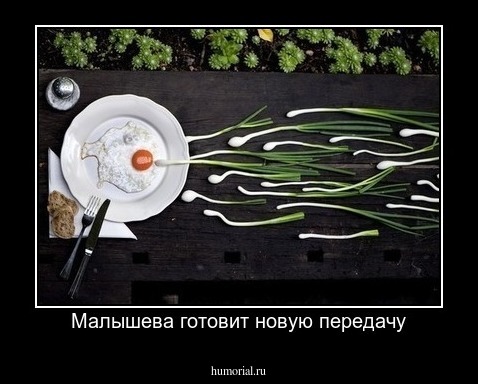 Малышева готовит новую передачу