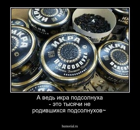 А ведь икра подсолнуха - это тысячи не родившихся подсолнухов~