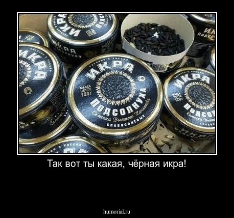 Так вот ты какая, чёрная икра!
 
