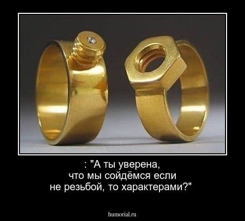  : "А ты уверена, что мы сойдёмся если не резьбой, то характерами?"