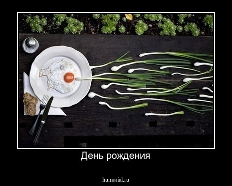 День рождения