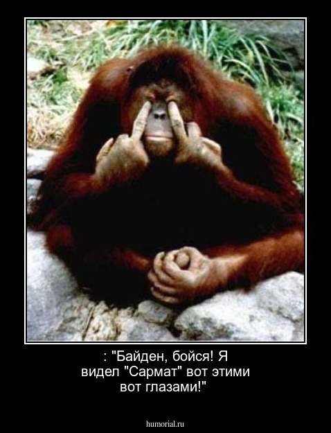 : "Байден, бойся! Я видел "Сармат" вот этими вот глазами!"