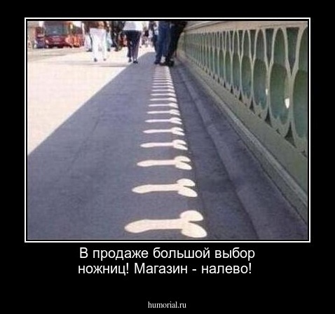  В продаже большой выбор ножниц! Магазин - налево!