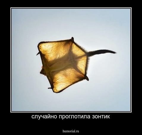 случайно проглотила зонтик