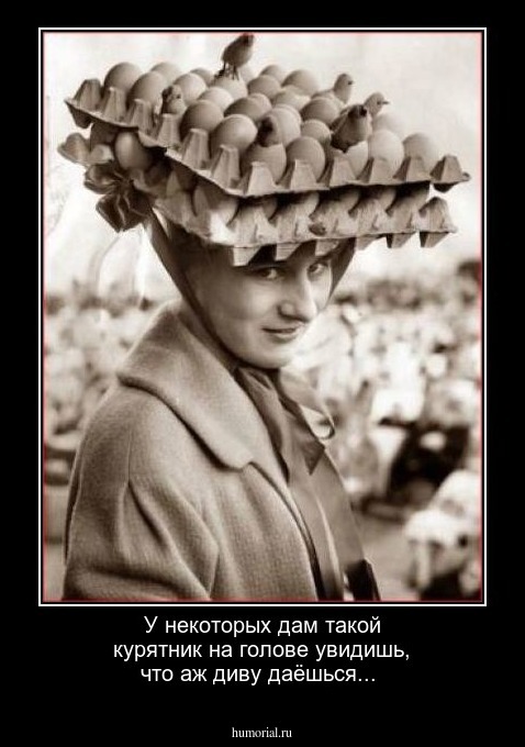 У некоторых дам такой курятник на голове увидишь, что аж диву даёшься...