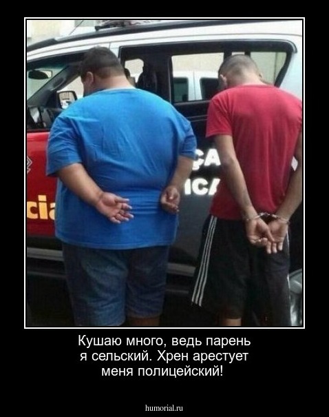 Кушаю много, ведь парень я сельский. Хрен арестует меня полицейский!