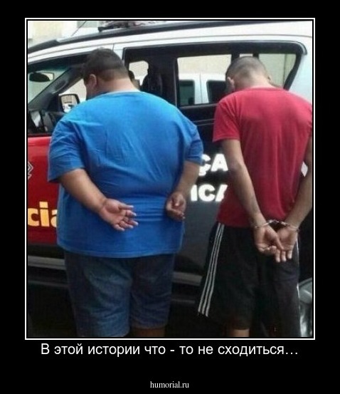 В этой истории что - то не сходиться…