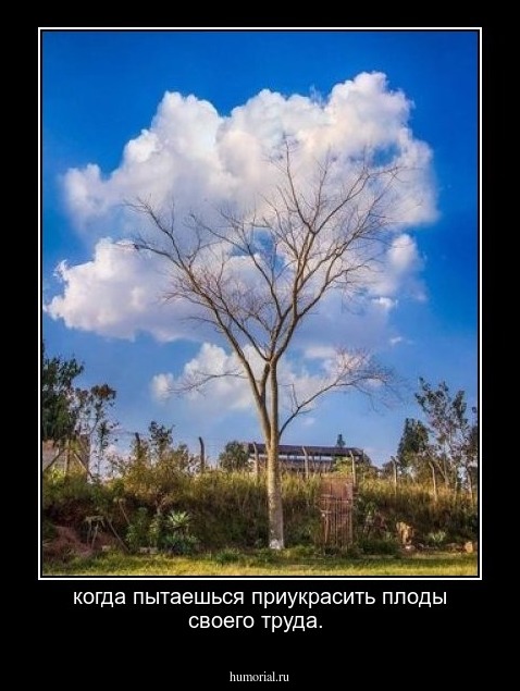 когда пытаешься приукрасить плоды своего труда.