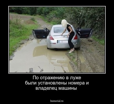 По отражению в луже были установлены номера и владелец машины