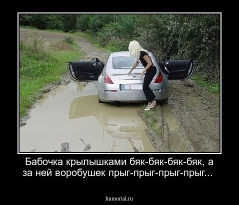 Бабочка крылышками бяк-бяк-бяк-бяк, а за ней воробушек прыг-прыг-прыг-прыг...