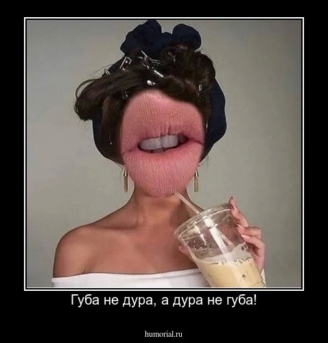 Губа не дура, а дура не губа!