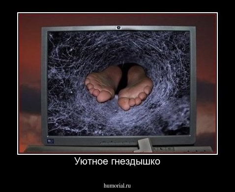 Уютное гнездышко