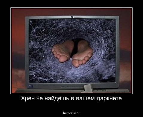 Хрен че найдешь в вашем даркнете