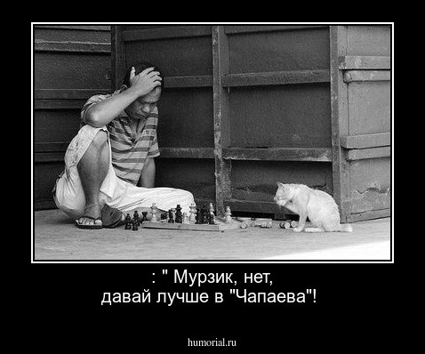  : " Мурзик, нет, давай лучше в "Чапаева"!
