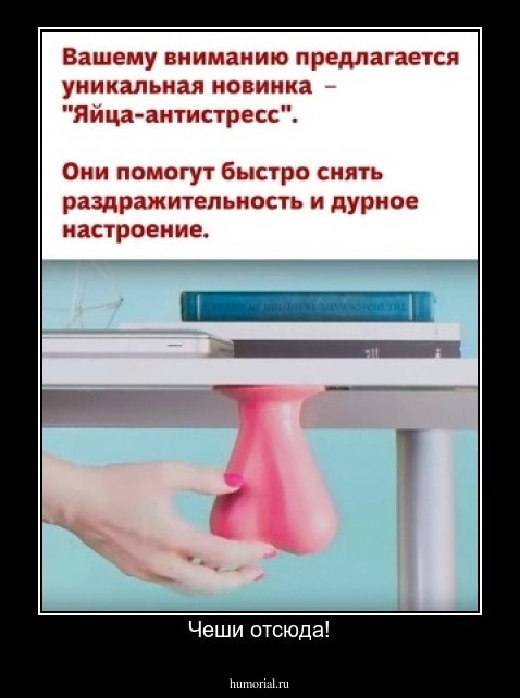 Чеши отсюда!