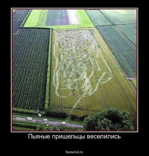Пьяные пришельцы веселились