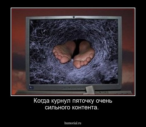 Когда курнул пяточку очень сильного контента.