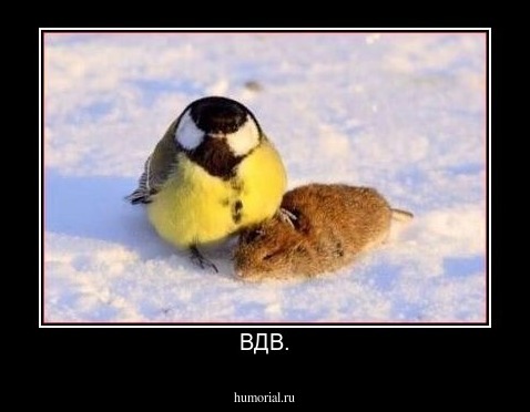 ВДВ.