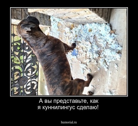 А вы представьте, как я куннилингус сделаю!