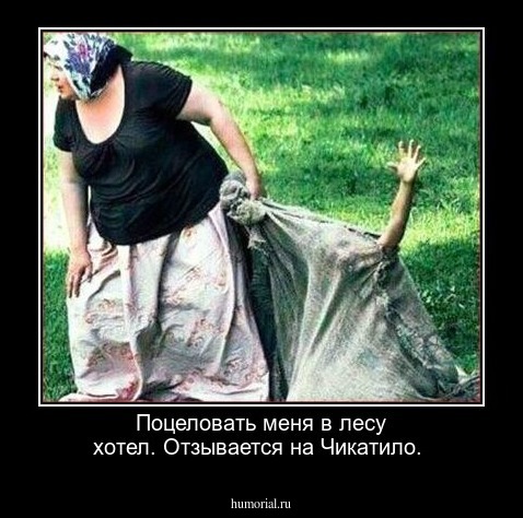 Поцеловать меня в лесу хотел. Отзывается на Чикатило.
