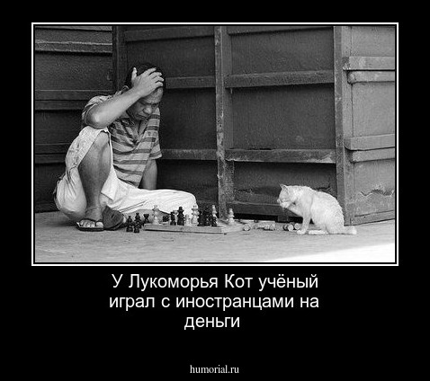 У Лукоморья Кот учёный играл с иностранцами на деньги
