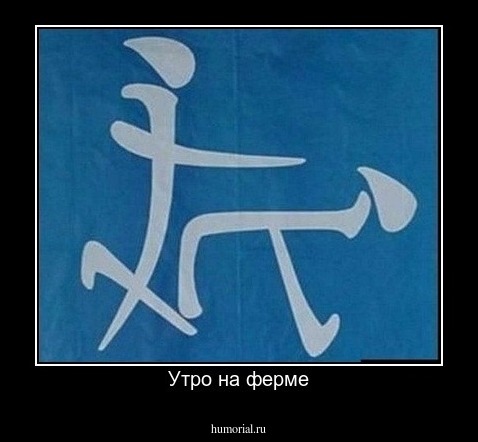 Утро на ферме