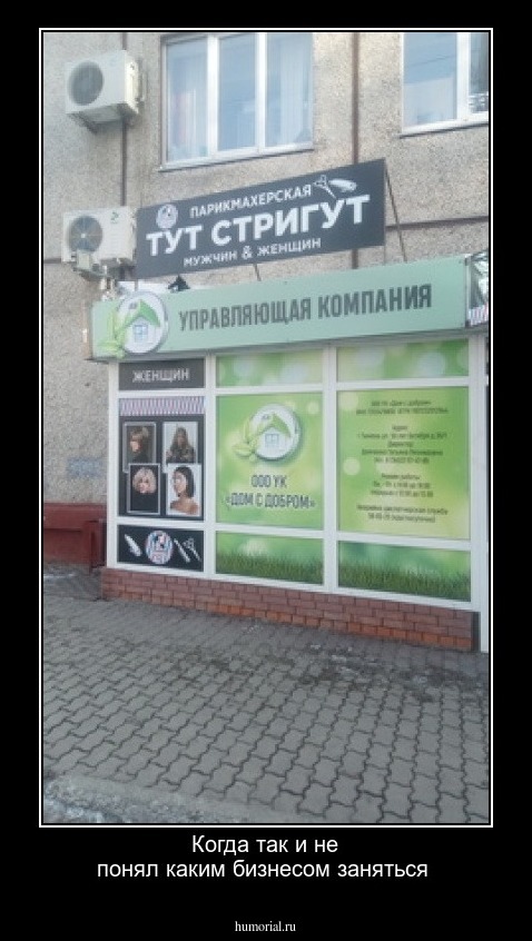Когда так и не понял каким бизнесом заняться