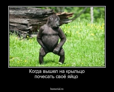 Когда вышел на крыльцо почесать своё яйцо