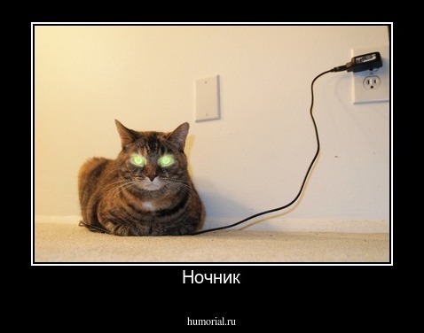 Ночник