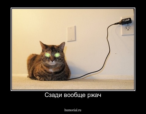 Сзади вообще ржач