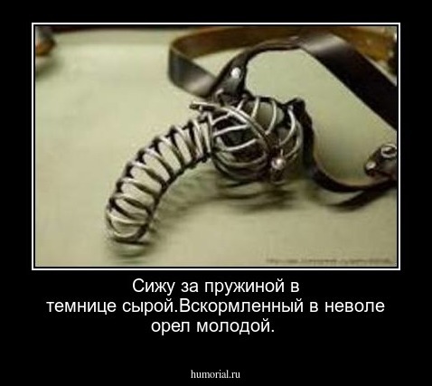 Сижу за пружиной в темнице сырой.Вскормленный в неволе орел молодой.