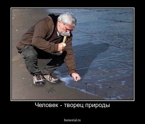 Человек - творец природы