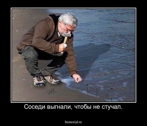 Соседи выгнали, чтобы не стучал.