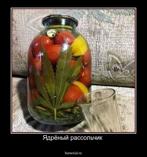 Ядрёный рассольчик 