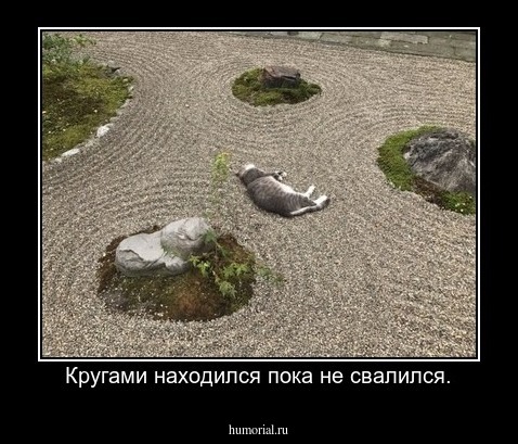 Кругами находился пока не свалился.
