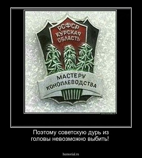 Поэтому советскую дурь из головы невозможно выбить!