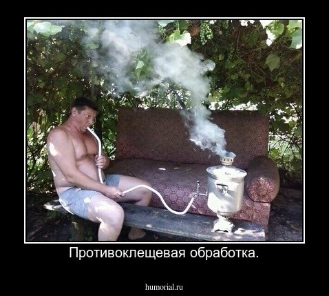 Противоклещевая обработка.